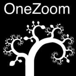 logo OneZoom